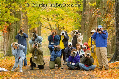 2009 Digital Equine Photography Workshop Series